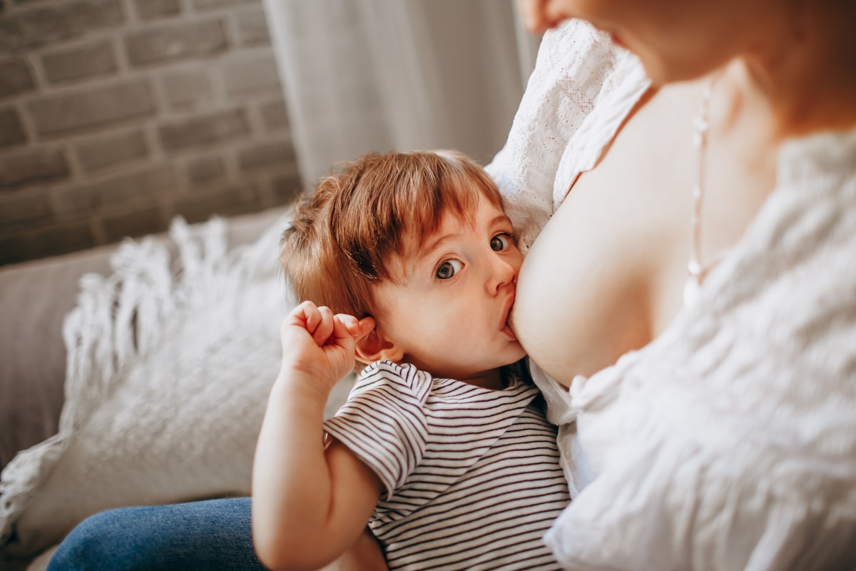 Healthy pregnancy nutrition - colorful nutrients and wholesome foods